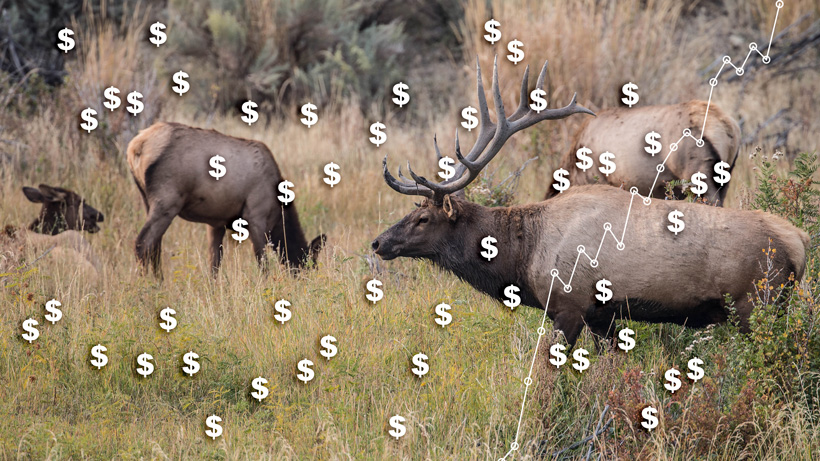 Wyoming 2018 fee increase for hunting licenses Wyoming 2018 fee increase for hunting licenses