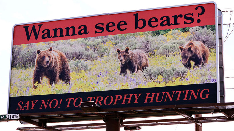 Anti-hunting grizzly sign Anti-hunting grizzly sign
