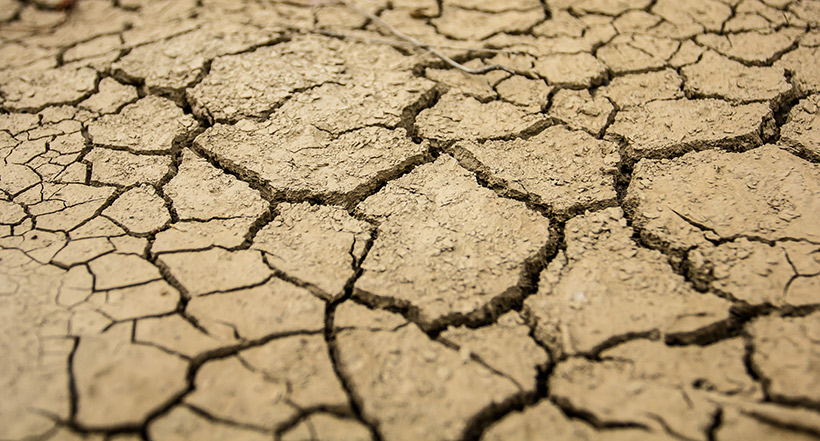 Dried up ground Dried up ground