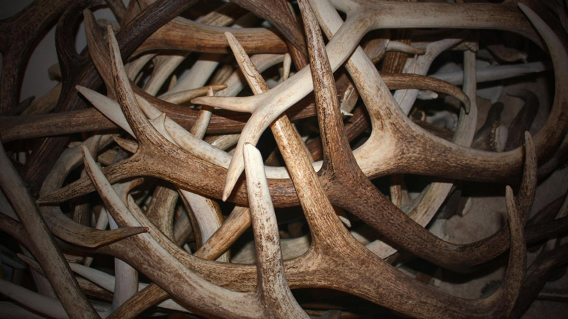 Elk Sheds Elk Sheds