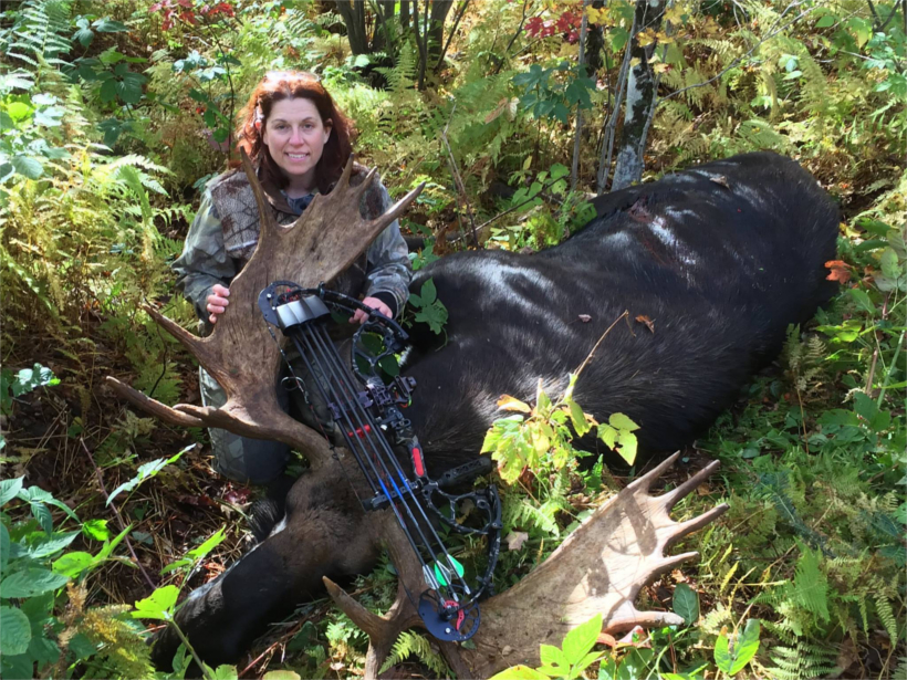 New moose record in Vermont New moose record in Vermont