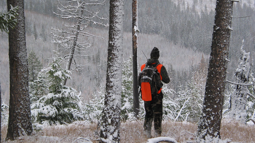 Colorado Poaching Colorado Poaching