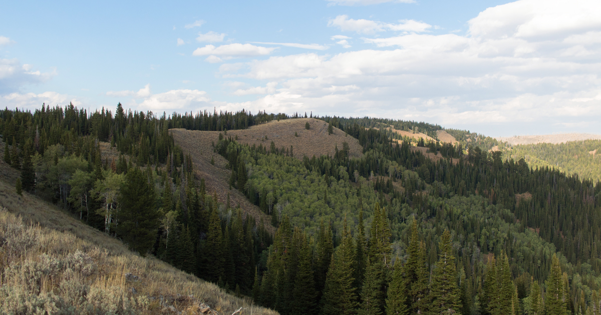 Oregon Initiative Petition 13 Proposes To Criminalize Hunting Gohunt