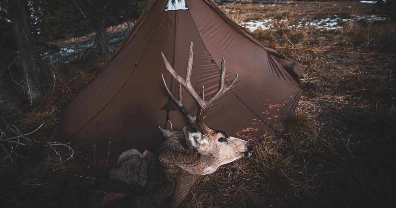 Tips for a successful mule deer hunt during any season