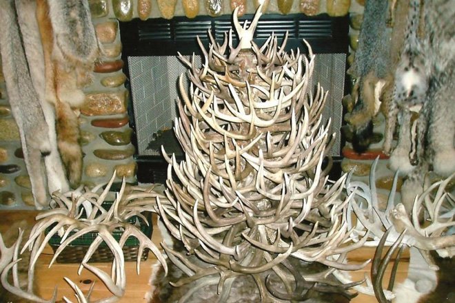 The 20 Best Shed Antler Christmas Trees GoHUNT Photo credit: Greenwoodtradition.com - The 20 Best Shed Antler Christmas Trees GoHUNT