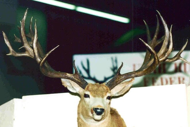 40 inch plus: The widest bucks of all time | goHUNT