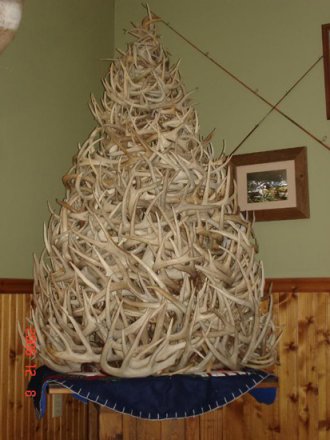 The 20 best shed antler Christmas trees | goHUNT The 20 best shed antler Christmas trees | goHUNT