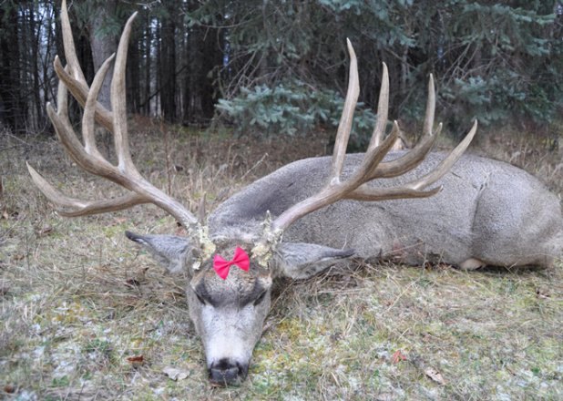 deer lake mature women personals My experience is that women over 40 enjoy sex-- many had bad sex lives i have slept with women of all ages and i think the more mature women are warmer and. deer lake mature women personals My experience is that women over 40 enjoy sex-- many had bad sex lives i have slept with women of all ages and i think the more mature women are warmer and.