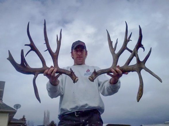 World Record Mule Deer