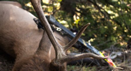 E-scouting with goHUNT Maps: Part 2