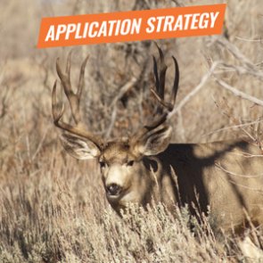 APPLICATION STRATEGY 2018: Montana Deer