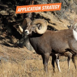 APPLICATION STRATEGY 2018: Montana Sheep, Moose, Goat, Bison