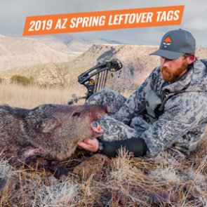 2019 Arizona spring leftover hunting permit list