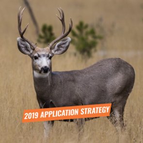 APPLICATION STRATEGY 2019: California Deer and Antelope