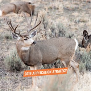 APPLICATION STRATEGY 2019: Idaho Deer