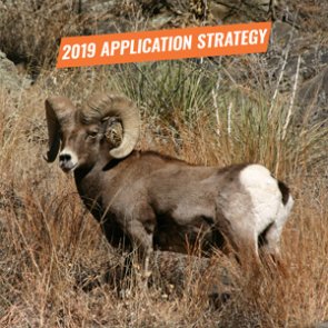 APPLICATION STRATEGY 2019: Oregon Bighorn Sheep and Mountain Goat