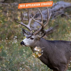 APPLICATION STRATEGY 2019: Utah Mule Deer