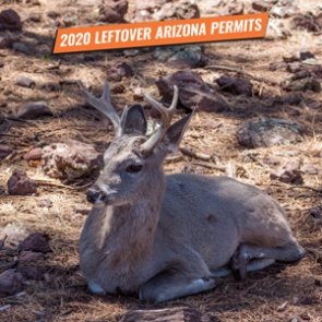 2020 Arizona fall leftover hunting permit list