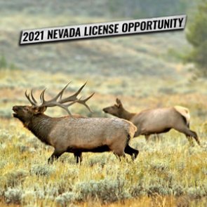 Nevada 2021 First Come First First Served license process now live!