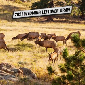 2021 Wyoming leftover draw license list now available