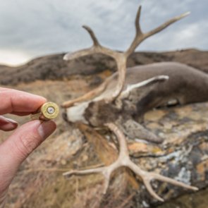 Hunting clichés that need to change