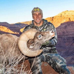 How to make the most out of your Arizona sheep application in 2019