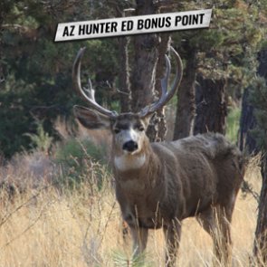 Arizona now offers an online course for a lifetime Hunter Ed bonus point