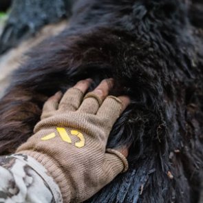 Looking for a spring bear hunt that's different than the norm?
