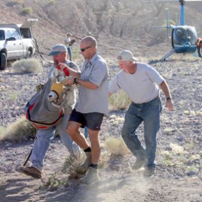 Giving back to wildlife through conservation groups