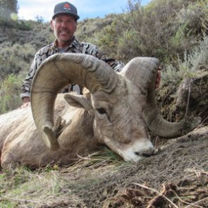 Beating the odds on a Montana bighorn sheep hunt