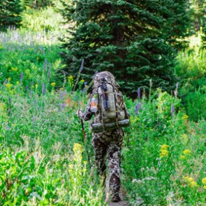 Bowhunting for success in the highcountry for mule deer