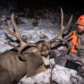 Hunt where the deer are, not where you think they are