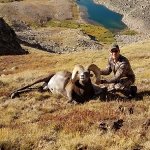 2018 Colorado bighorn sheep hunt
