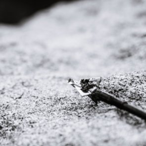 Is it worth reusing and resharpening old broadheads?