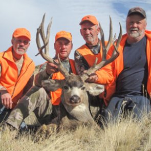 Dreaming big for the buck of a lifetime