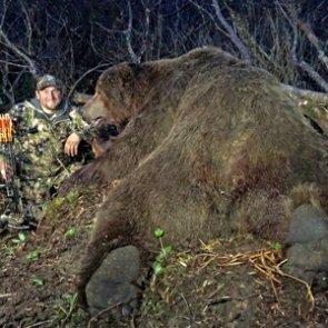 P&Y confirms world record Alaskan brown bear