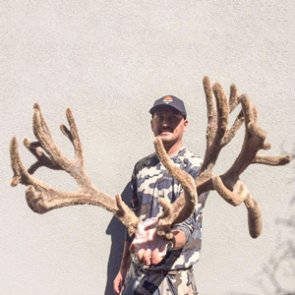 Drawing to win a 2016 Colorado Governor's mule deer tag