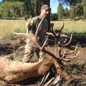 Proof that second time's the charm for Arizona elk