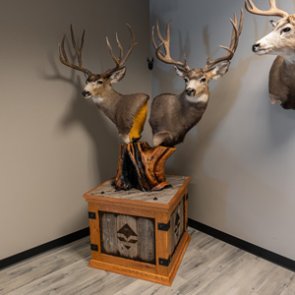 A photo essay on the work and creative side of building a custom pedestal mount