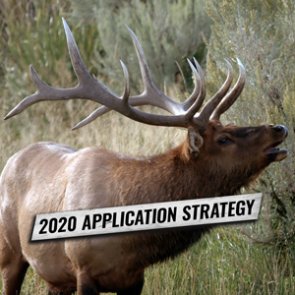 APPLICATION STRATEGY 2020: Nevada Elk and Antelope