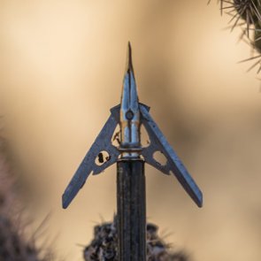 Fixed blade vs. expandable blade broadheads... which is right for you?