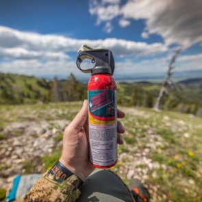 Hunting in grizzly bear country: Sidearm vs bear spray