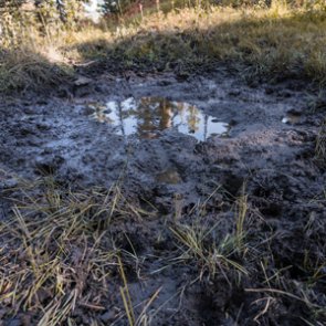 Early season elk tactics: How to effectively hunt elk wallows
