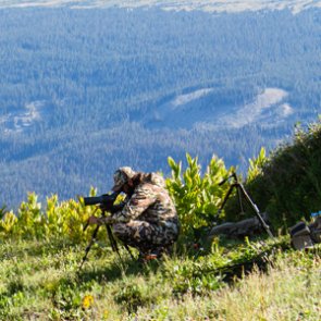 Is bowhunting as difficult as we think it is?
