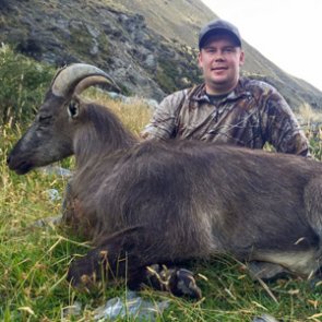 High mountain tahr hunt in New Zealand