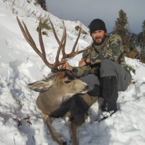 The power of cheese, crackers and rutting mule deer