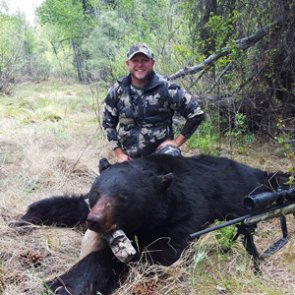 The unknown black bears of Arizona