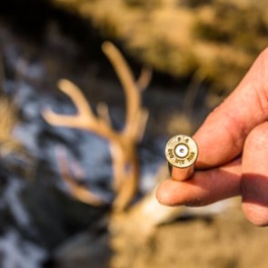 7 things you didn't know about ammo