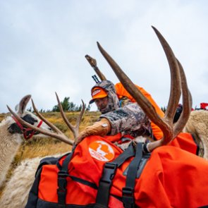 Wyoming Backcountry Mule Deer Hunt Video Series With Randy Newberg
