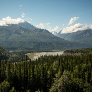 Hunter seriously injured after bear falls on him